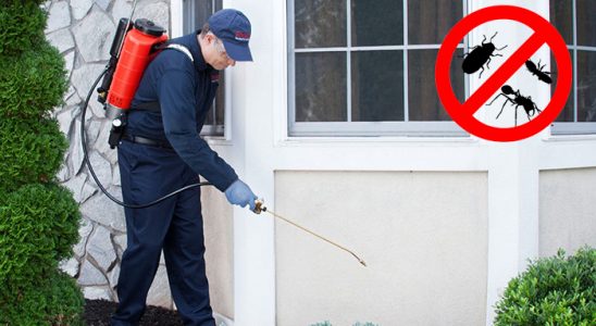 Korgun Kene İlaçlama böcek ilaçlama ve haşere kontrolü — ilaclama-tr.com